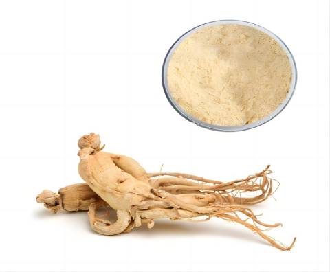 Extrato de Ginseng