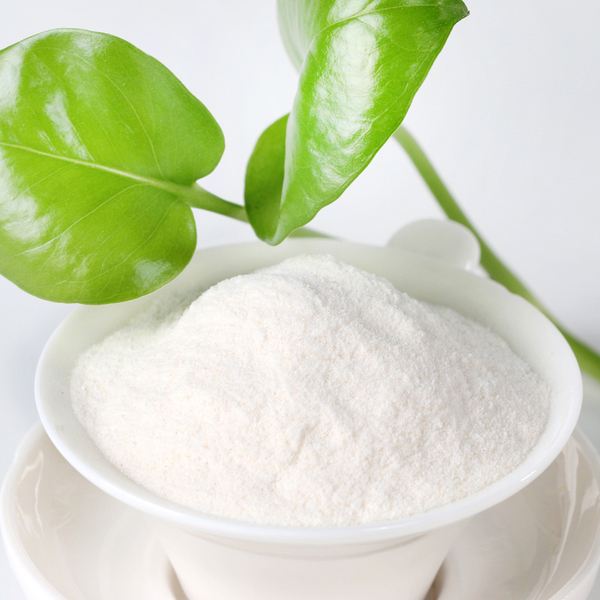 Pó de konjac