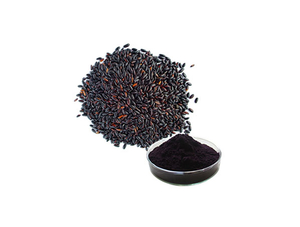 Extrato de Arroz Preto