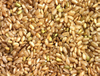 Extrato de Arroz Integral