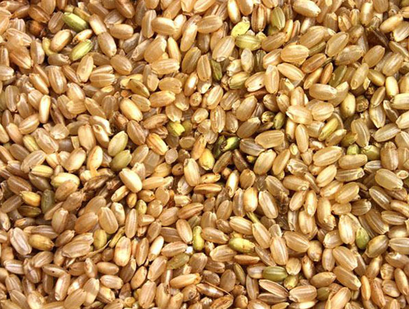 Extrato de Arroz Integral
