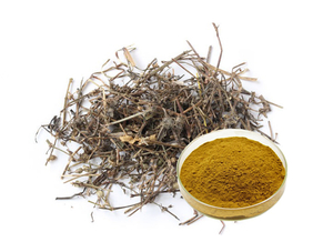 Extrato de Hedyotis Diffusa
