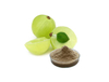 Extrato de Amla 