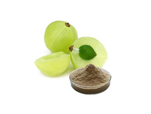 Extrato de Amla 