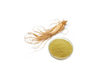 Extrato de Ginseng Americano