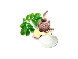 Extrato de Konjac