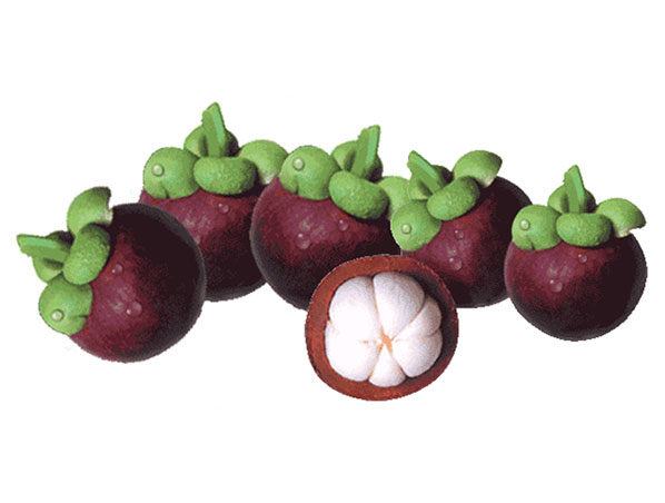 Extrato de Mangostão