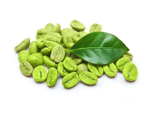 Extrato de grão de café verde