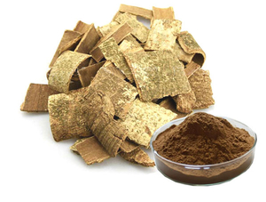 Extrato de Schefflera Octophylla