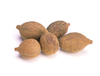 Extrato de Terminalia Bellerica