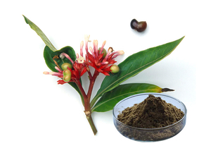 Extrato de Rauwolfia Serpentina