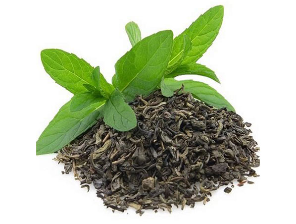 Extrato de Chá Verde