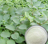Extrato de Trans-Resveratrol / Polygonum Cuspidatum
