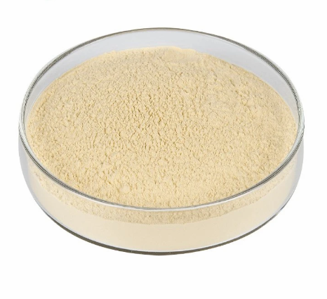 Extrato de Ginseng Vermelho da Coreia 