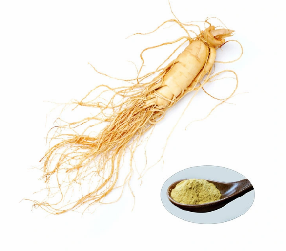 Extrato de Ginseng Coreano Orgânico 