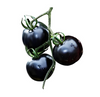 Extrato de Tomate Preto