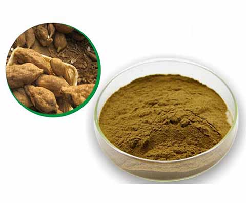 Extrato de raiz de Kudzu