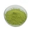 Extrato de Moringa/Folha de Moringa em Pó
