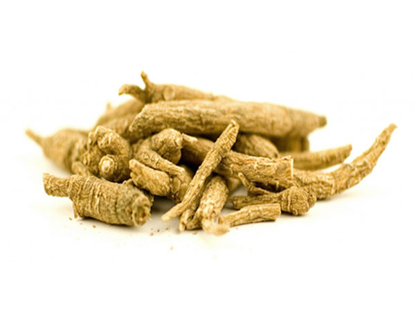 Extrato de Ginseng Siberiano