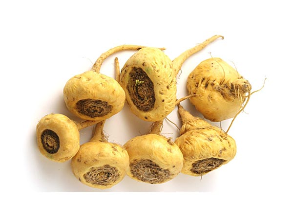 Extrato de Maca