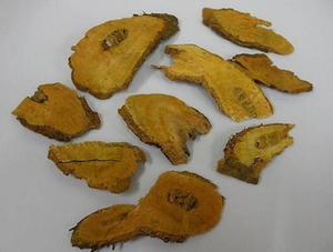 Extrato de Trans-Resveratrol / Polygonum Cuspidatum