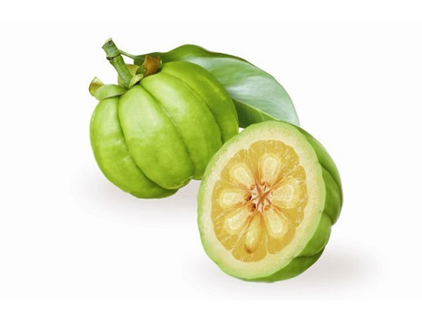 Extrato de Garcínia Cambogia