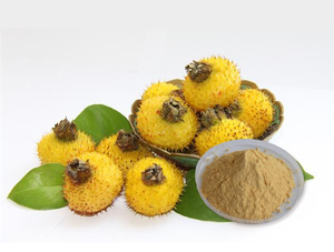 Extrato de Rosa roxburghii