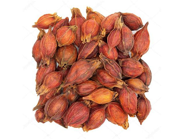 Extrato de Gardênia