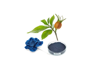 Gardênia Azul