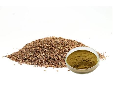 Extrato de Cnidium Monnieri