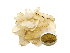 Extrato de Rizoma Gastrodia