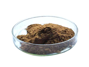 Extrato de Chá Preto Teaflavinas