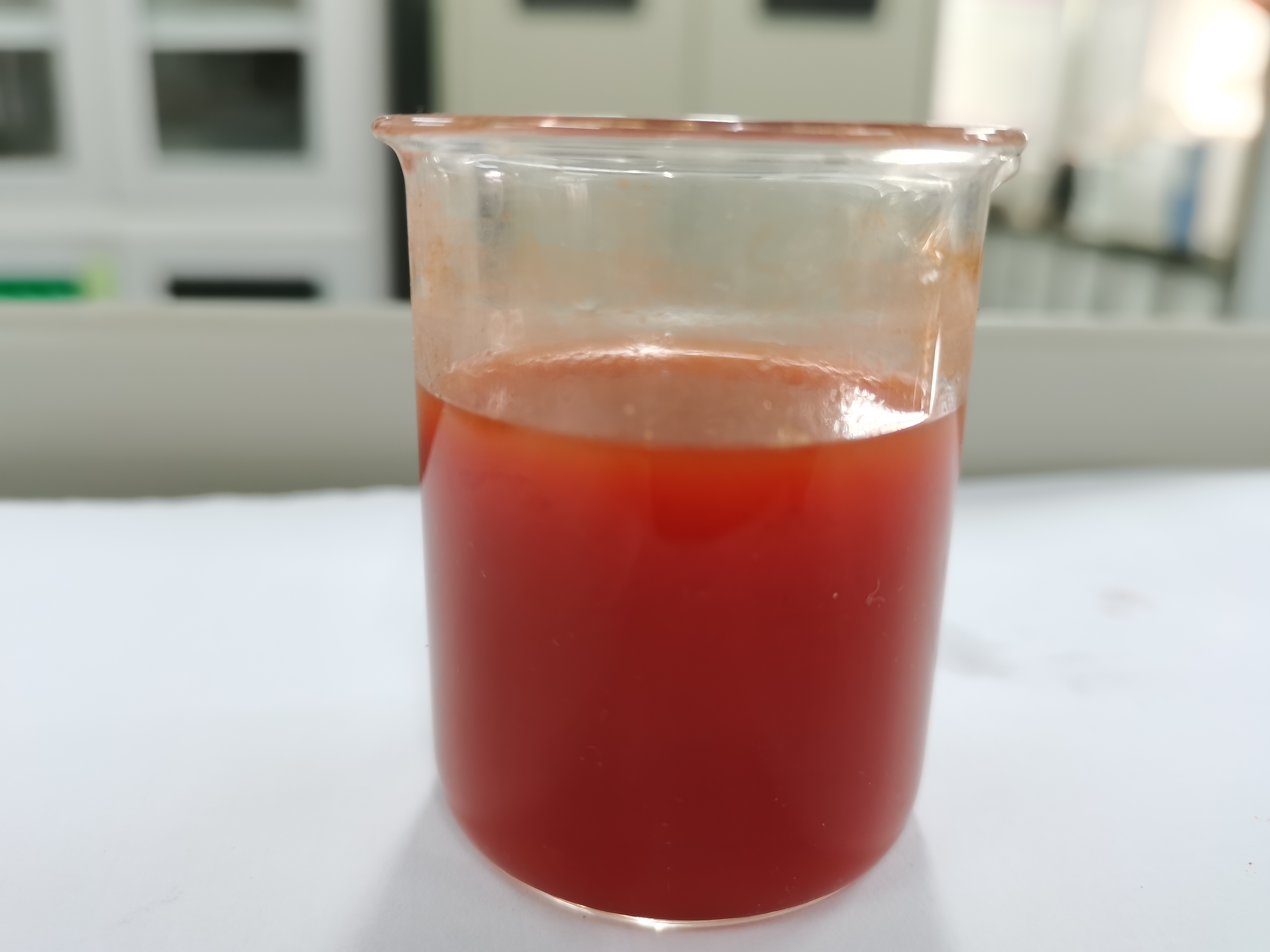 foto sol&uacute;vel的副本
