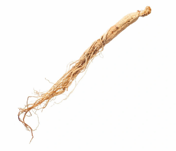 Extrato de Ginseng Coreano Orgânico 