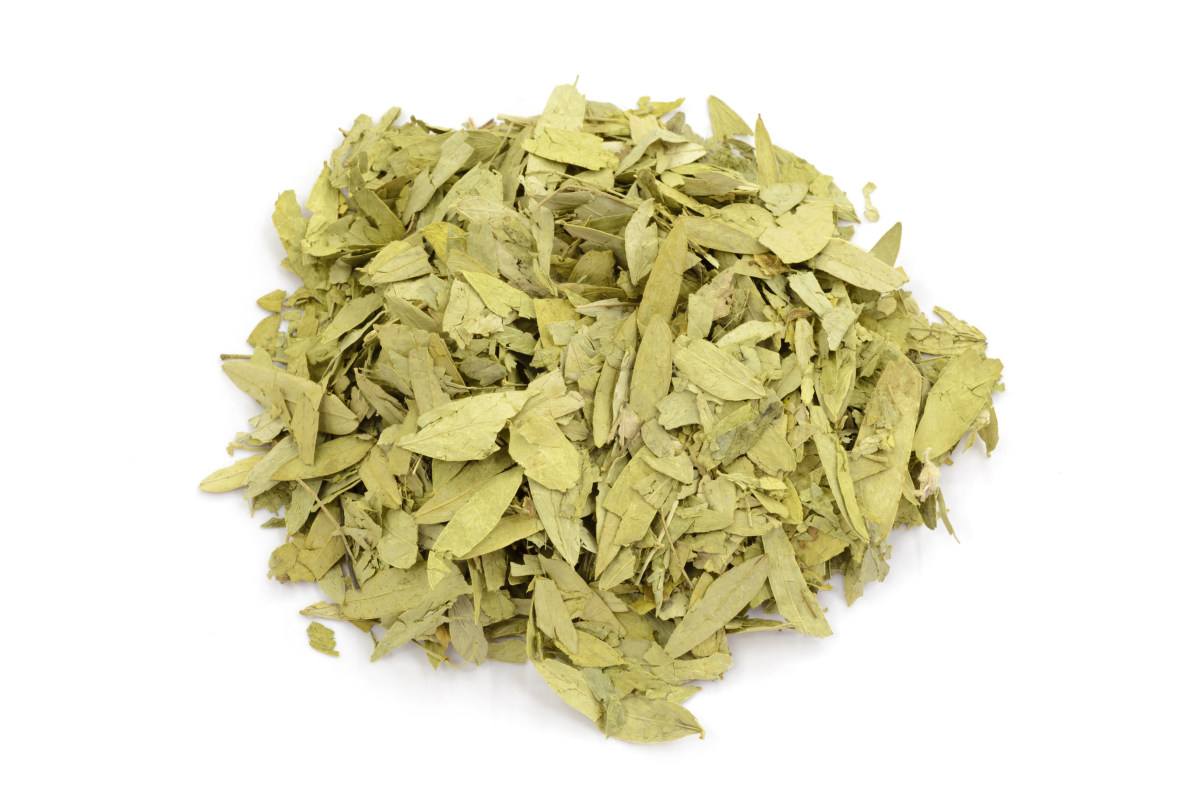 Extrato de folha de senna: benefícios para a saúde e aplicações de um laxante natural