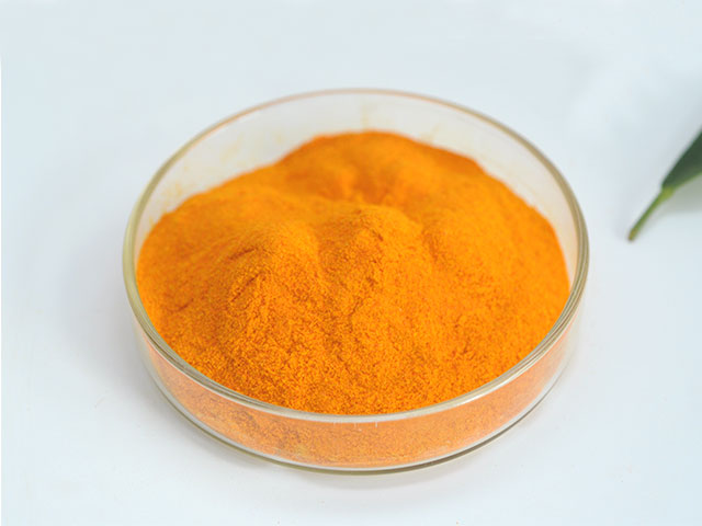 Curcumina NANO X 