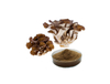 Extrato de Maitake