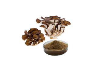 Extrato de Maitake