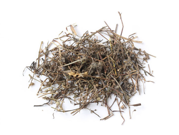 Extrato de Hedyotis Diffusa