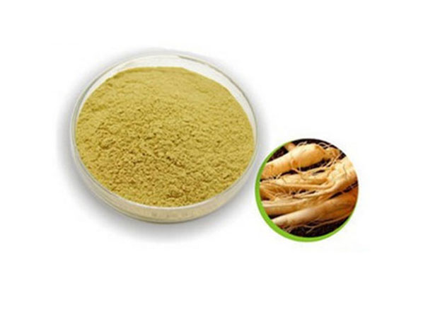 Extrato de Ginseng Americano