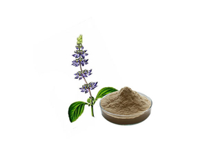 Extrato de Coleus Forskohlii