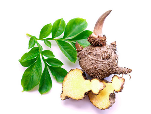 Extrato de Konjac