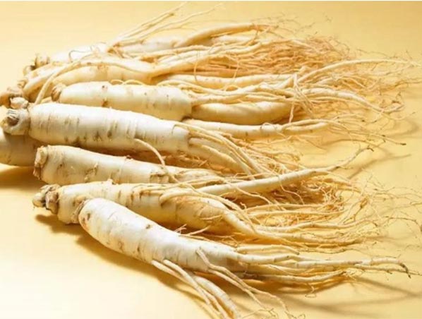 Extrato de Ginseng
