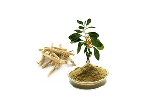 Extrato de Ashwagandha