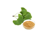 Extrato Orgânico de Ginkgo Biloba