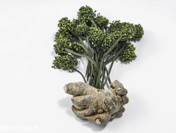 Extrato de raiz de Panax Notoginseng