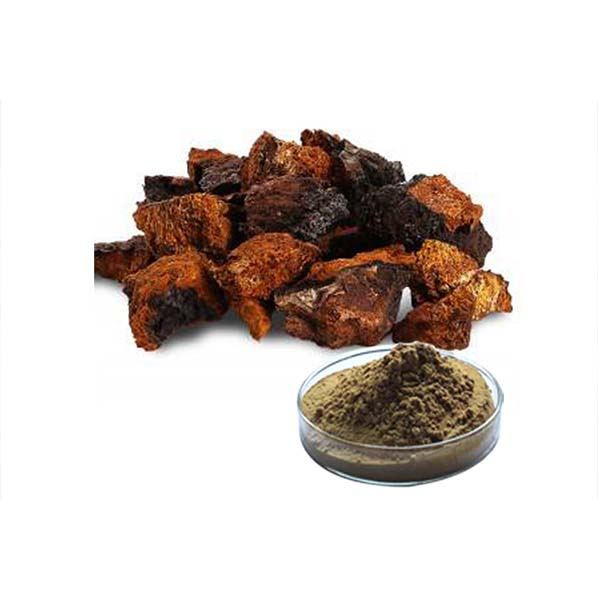 Extrato de Cogumelo Chaga Orgânico