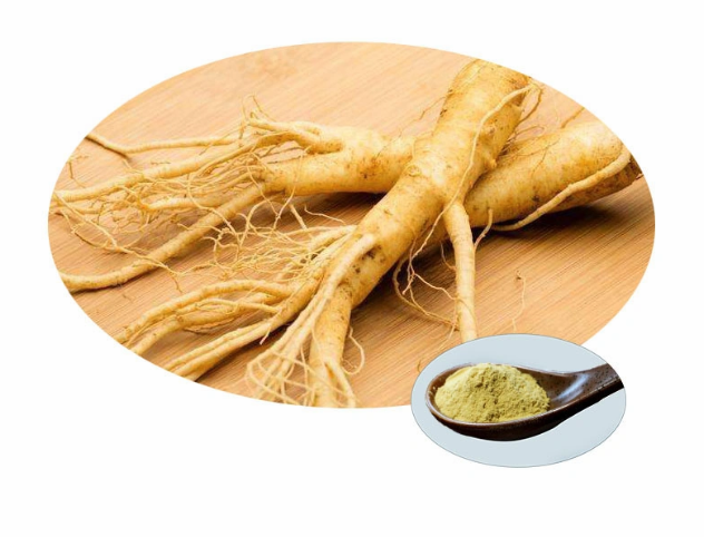 Extrato de Ginseng Coreano Orgânico 