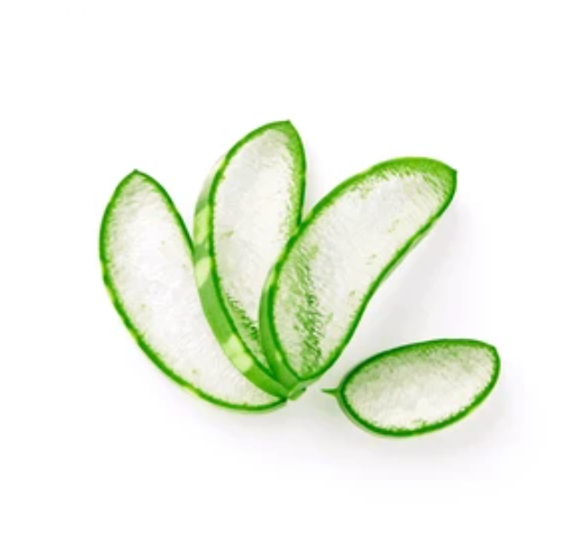 Extrato de Aloe Vera