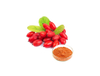 Extrato de Gojiberry